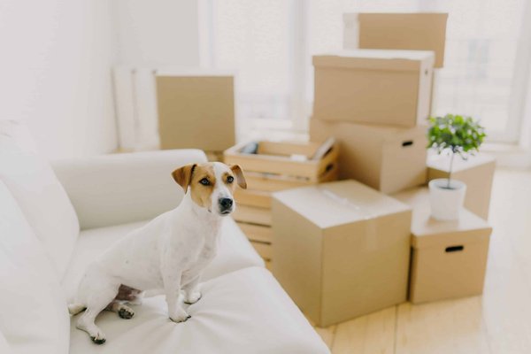 Quelle technique pour porter des talons aiguilles toute la journée sans douleur?